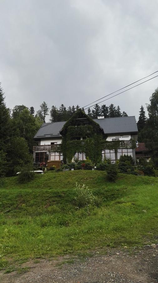 Willa Pod Dobrym Humorem Miedzygorze Bagian luar foto