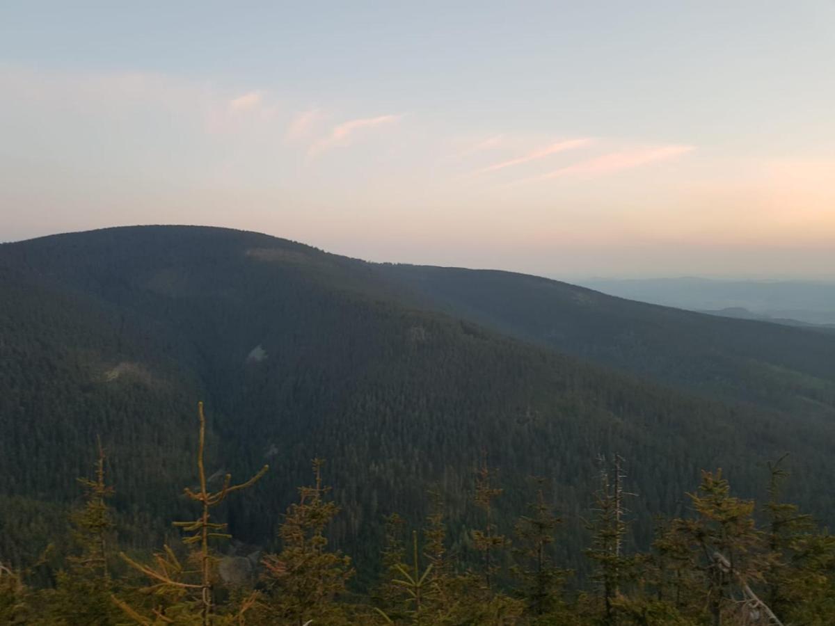 Willa Pod Dobrym Humorem Miedzygorze Bagian luar foto